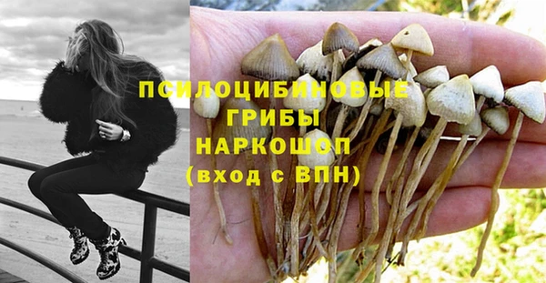 герыч Майский