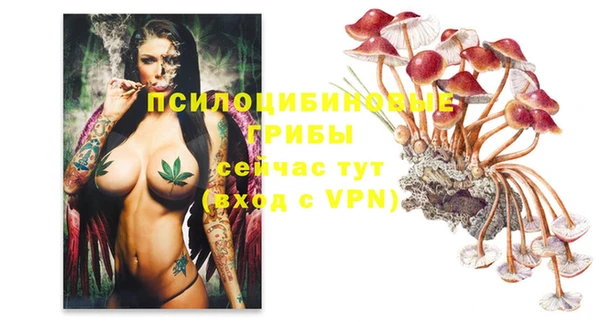 герыч Майский