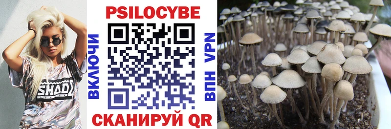 МЕГА зеркало  Усть-Катав  Псилоцибиновые грибы Cubensis 